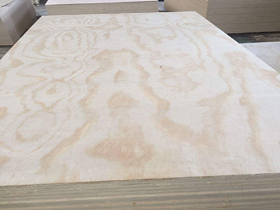 Birch/Pine/Poplar and other plywood