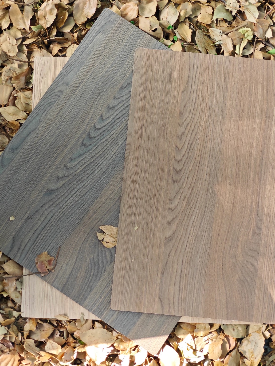 Oak/Teak/Beech and other plywood