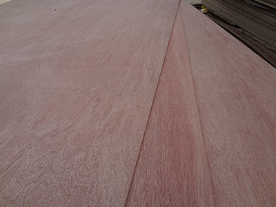 Plywood such as rock candy/Okoume/Red olive/Technological wood