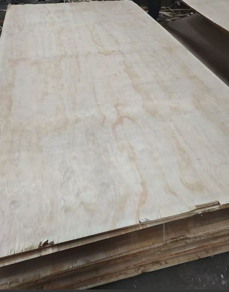 Birch/Pine/Poplar and other plywood